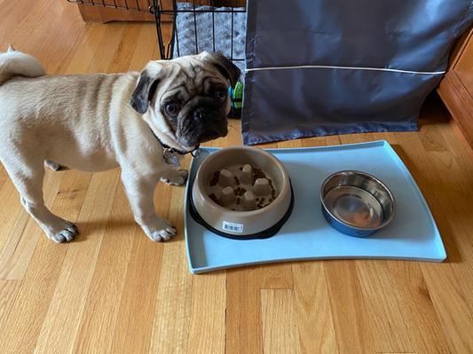 Iris USA Large Slow Feeding Bowl for Long Snouted Pets, White/Beige