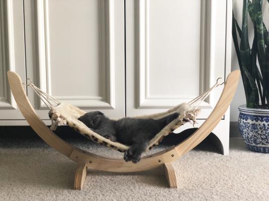 Pet parade pet hammock sale