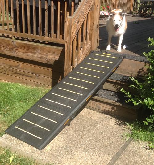 Extra wide outlet pet ramp