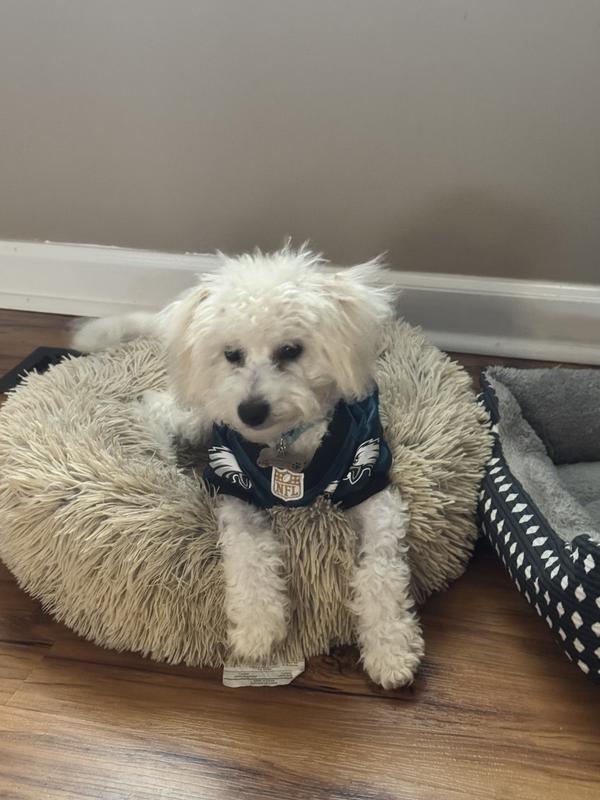 Kobe loves his Eagles Jersey!