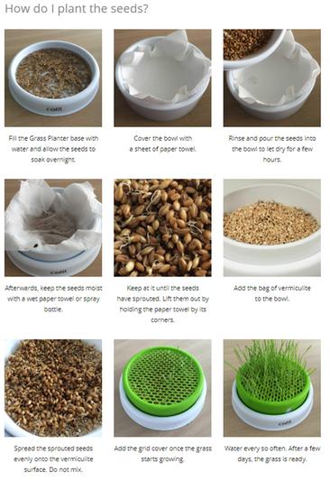 Seed Planting Instructions