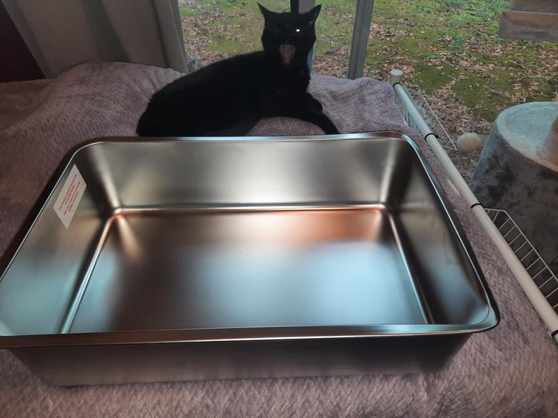 Metal kitty litter outlet box