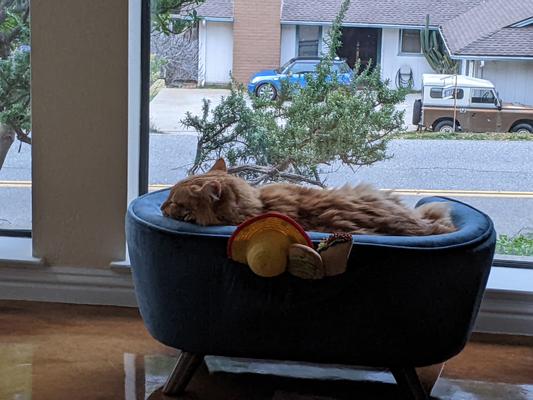 Romi on sale dog bed