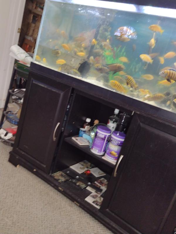 I own a 75gal fishtank. It a job. You have helped me greatly.