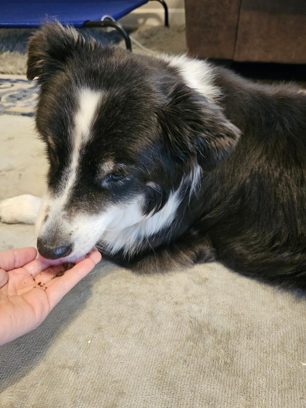 She enjoys the flavor!