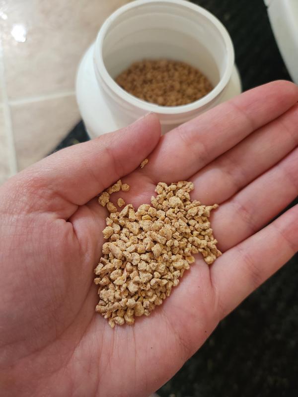 What the granules look like