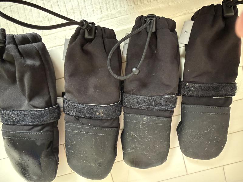 A bit dirty post walk but looks like these are 50 years old not used for a few weeks.