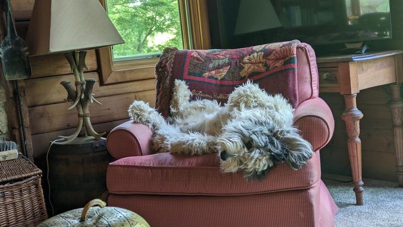 It's MY chair!
