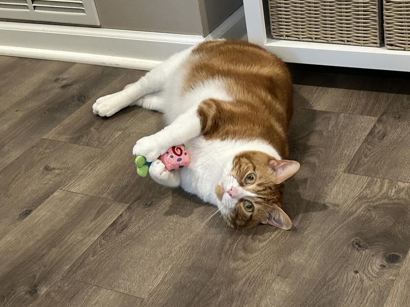 Lewis playing with Gary