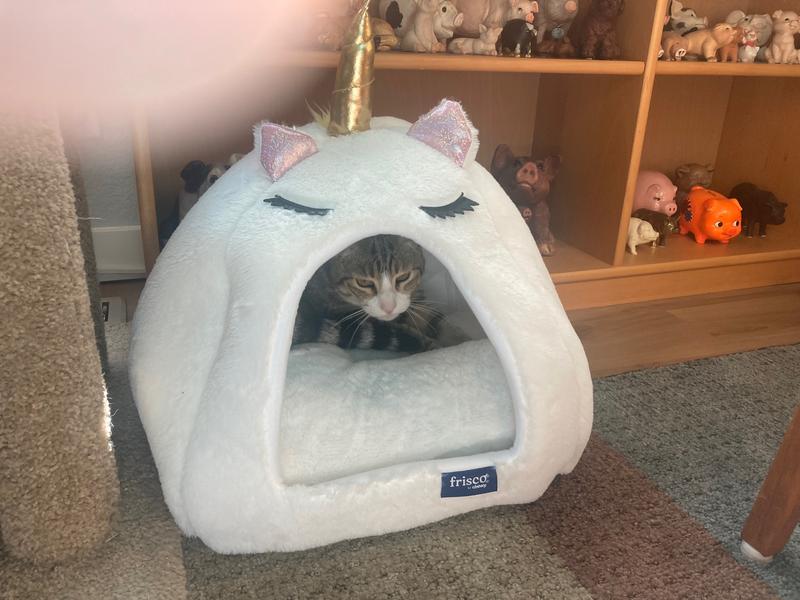 Lucie snuggling down.