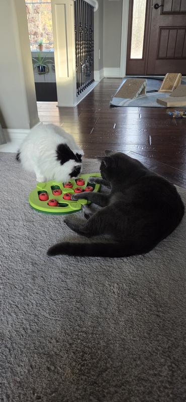 Hey, share the treats with me!