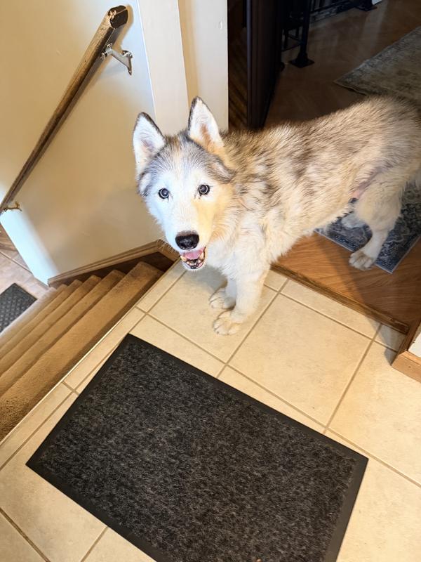 Tika feeling stronger