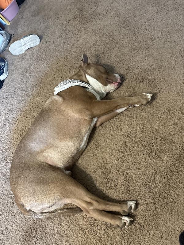 Mr. Starved today
