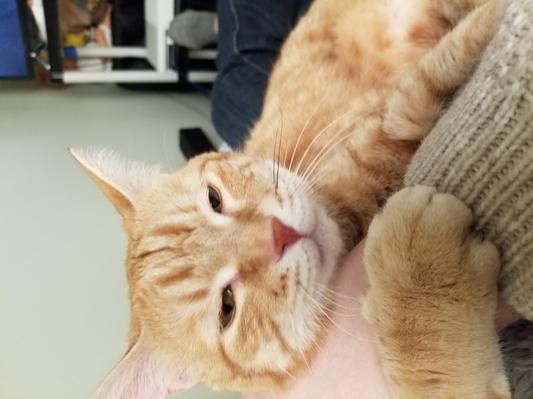 Snuggles after dinner
