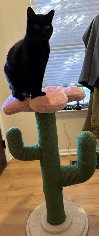 Nidalee is Queen of the hill.