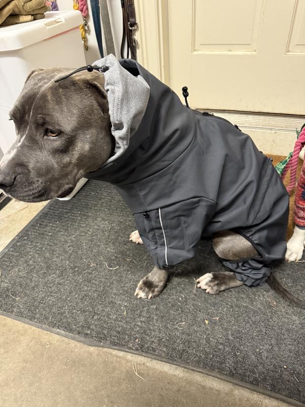 Frisco All Weather Bonded Dog Suit with Knit Snood
