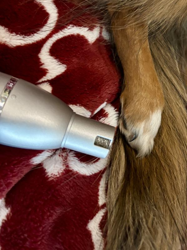 Grinder with cover on for small nails