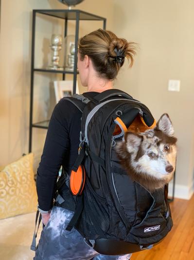 Kurgo G-Train - Dog Carrier Backpack for Small Pets - Cat & Dog Backpack  for Hiking, Camping or Travel - Waterproof Bottom - Red
