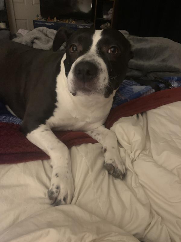 This pretty girl thanks you!!