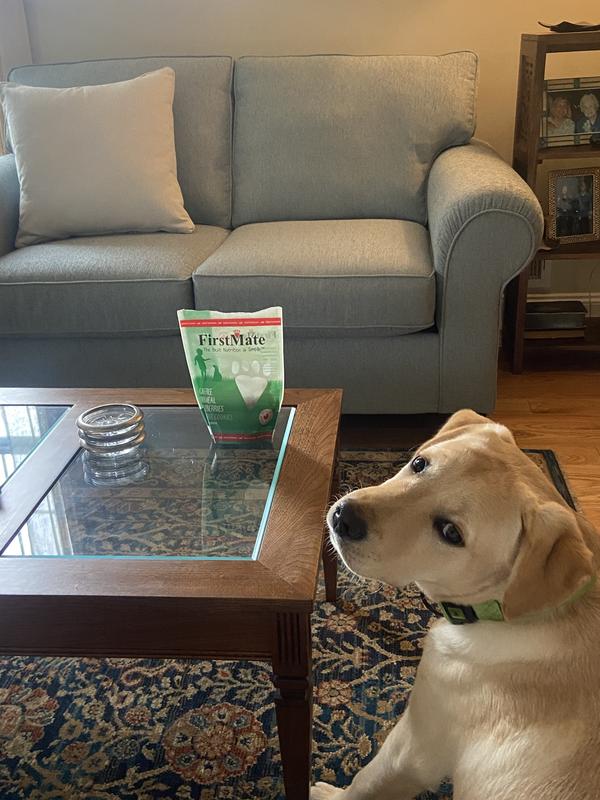 Whining for his duck treats