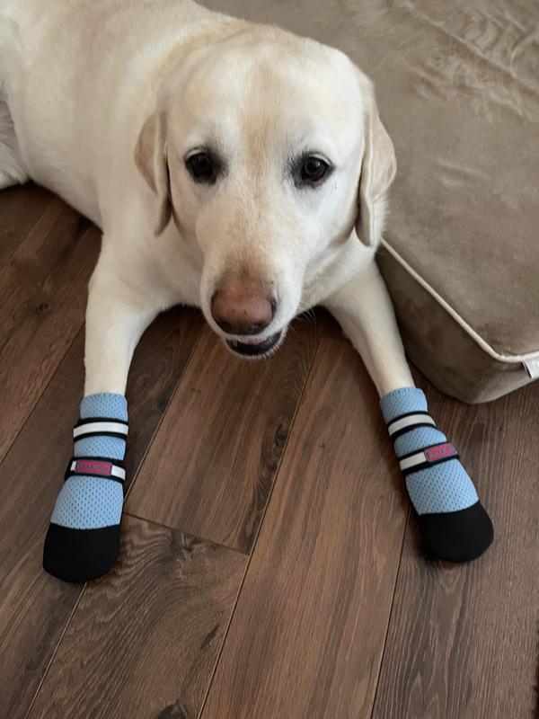 BARK BRITE Lightweight Neoprene Paw Protector Dog Boots, Blue, XLarge