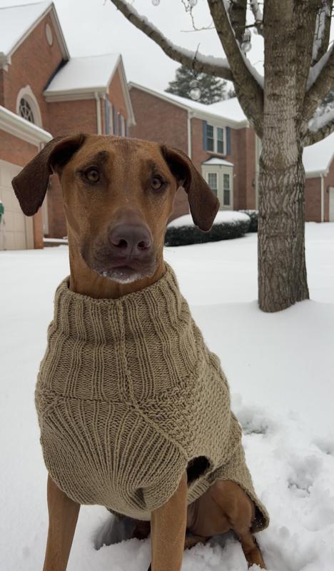 Styling with this sweater!