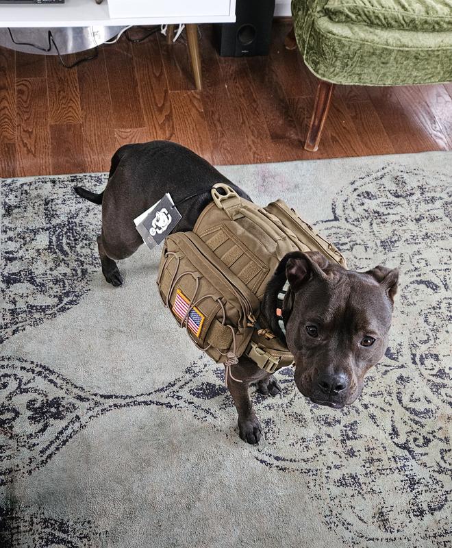 Her measurements are on the higher end of size M, but I don't expect her to grow much more.