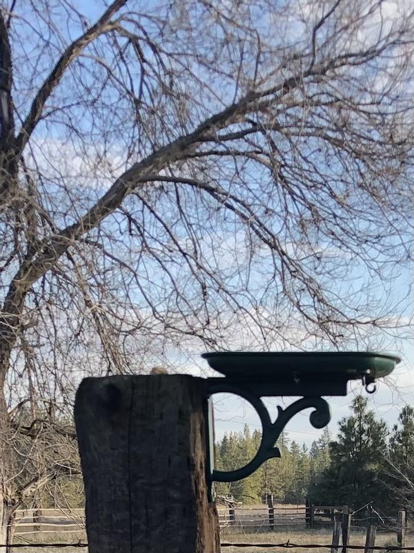 Outdoor dining at its best!