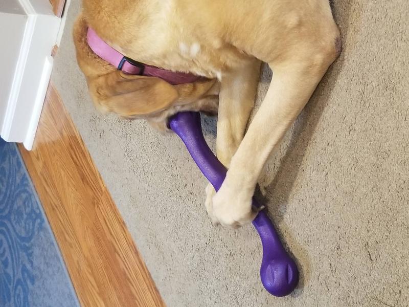 West Paw Skamp Dog Toy Eggplant