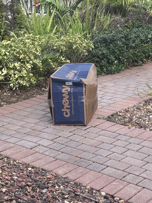 bashed box - food and treats unharmed