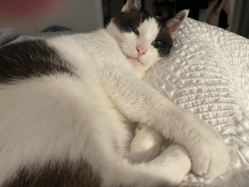 RC Satiety Dry Food -- Works!