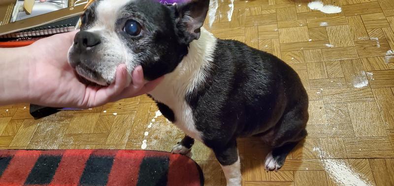 She doesn't like to sit for pictures