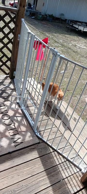 CARLSON PET PRODUCTS Flexi Extra Tall Walk-Thru Dog Gate with Pet Door,  38-in 