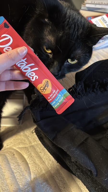 Observing the new treat