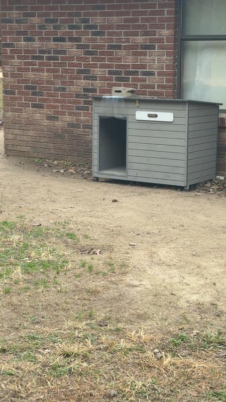 It’s a very good buy my boy loves it when he’s outside.