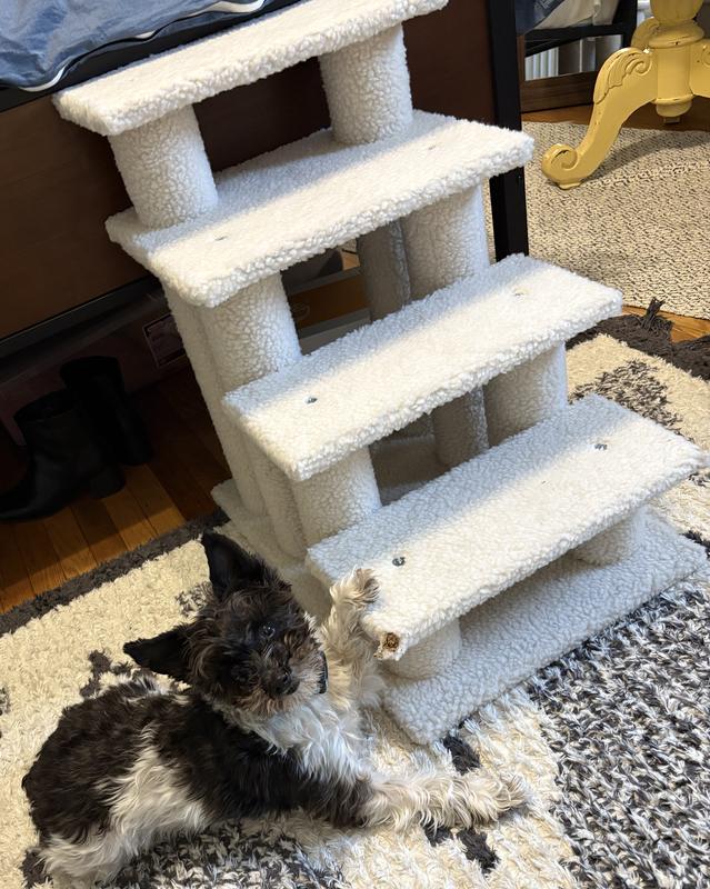 Steps are too much like a toy to my doggo