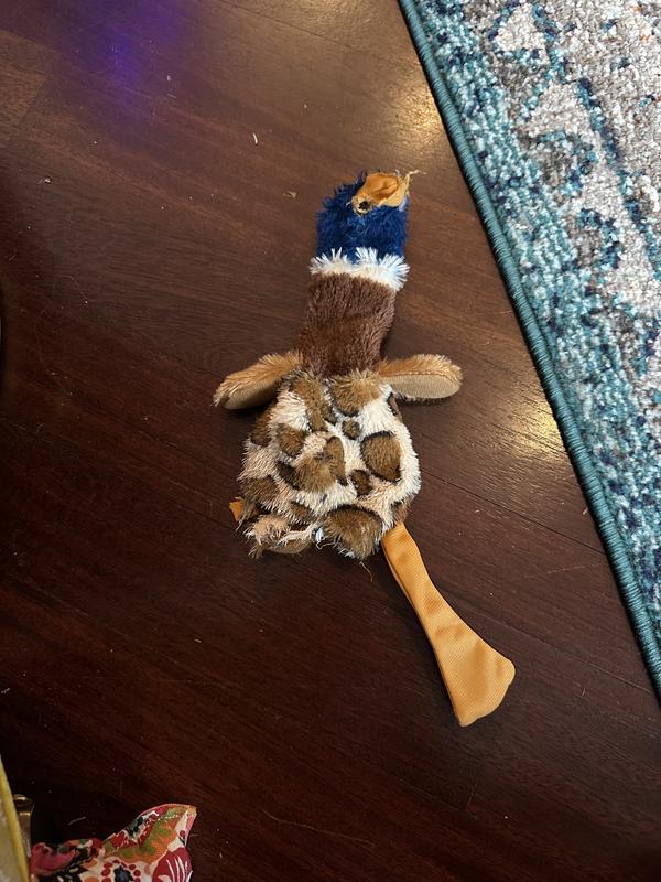 90 minutes after delivery