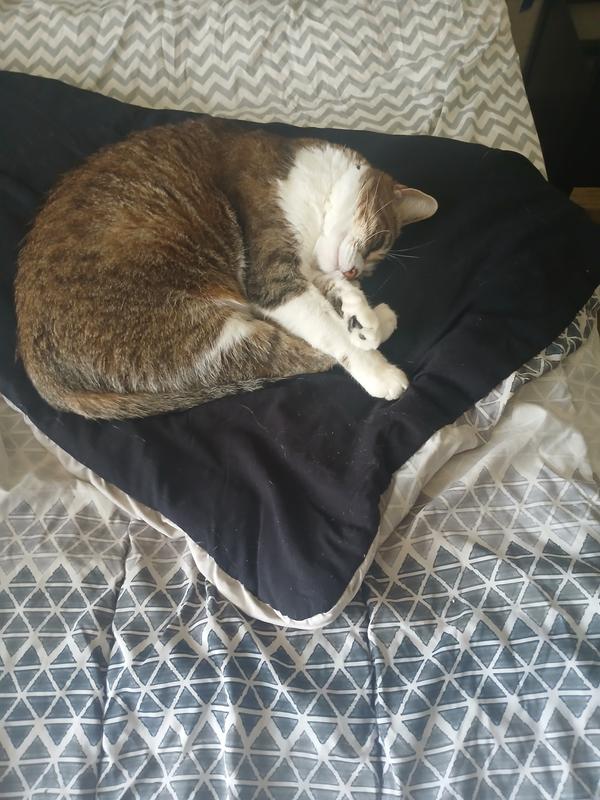 Patch