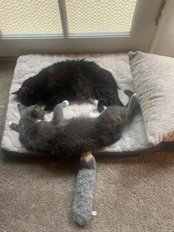 Home with her bestie