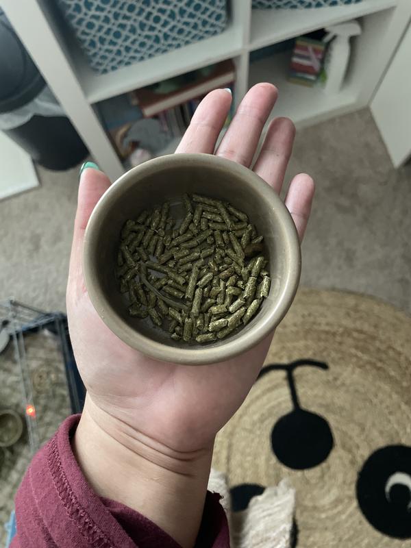 Picture of the dish on my palm for size reference.