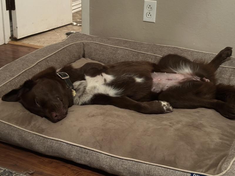 Comfortable for deep sleep