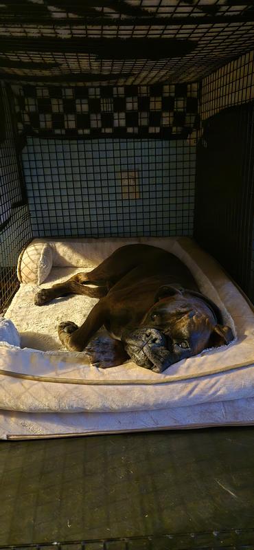 FurHaven Velvet Waves Perfect Comfort Orthopedic Sofa Cat & Dog Bed