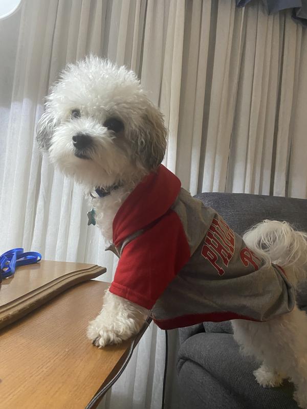 KIMO showing off again in his Philadelphia Phillies hooded shirt.