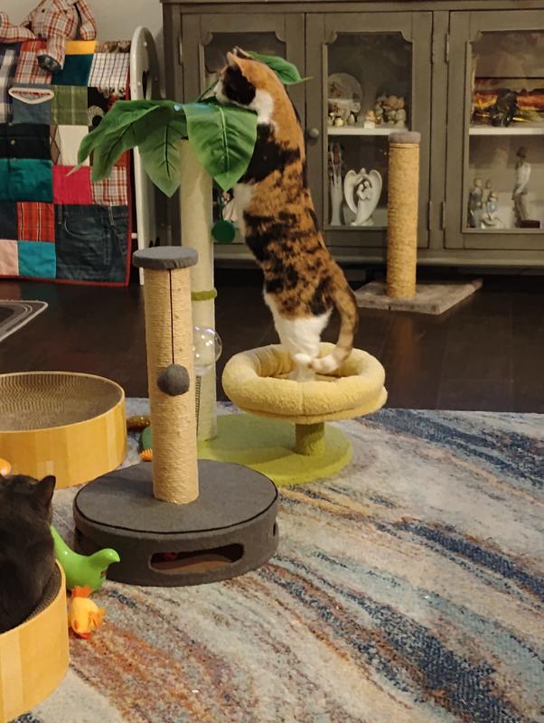 I'm going to get me a leaf