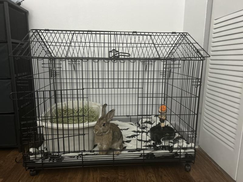 FRISCO House Shaped Small Pet Wire Cage, 36in