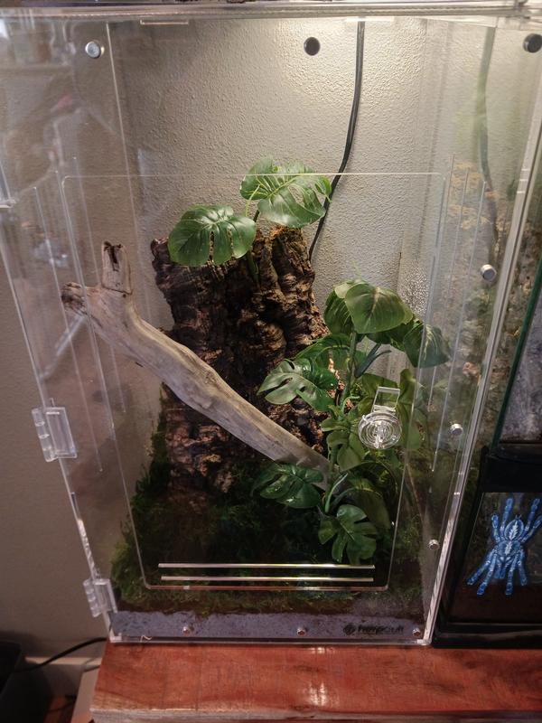 HERPCULT Acrylic FrontOpening Reptile Habitat, 12gal