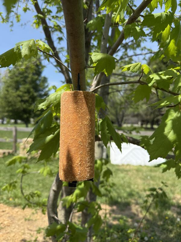 The one in the tree hasn’t been touch all week.