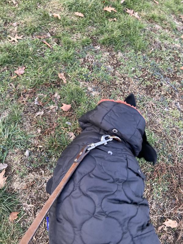 Frisco Heavy Weight Matte Quilted Volume Dog & Cat Puffer