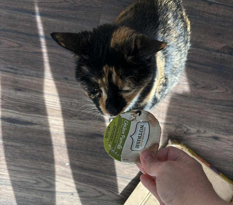 Annabelle would like to check it out. She may be old, but she's very motivated by food.