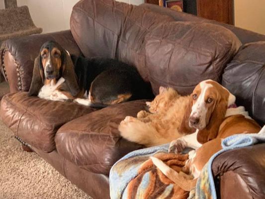 Josie & Daisy with their buddy Elias